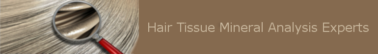 Hair Tissue Mineral Analysis – Hair Test Experts