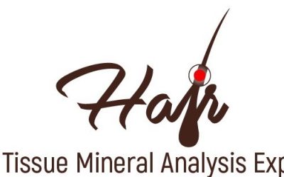 HTMA Practitioner Professional Training Course